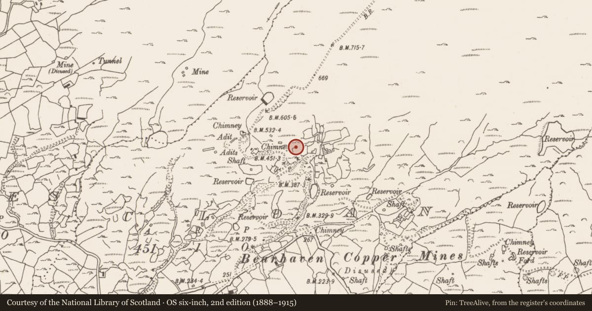Ordnance Survey six-inch map, 2nd edition (1888–1915) covering the location of Structure, Cloan, County Cork, with a pin at the register's coordinates