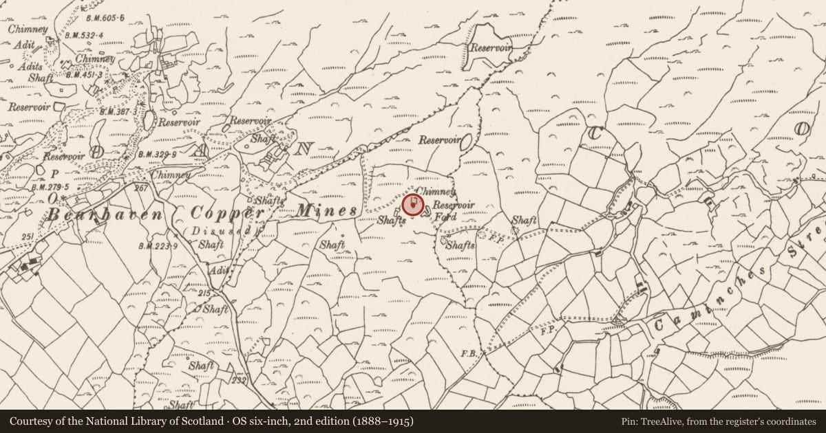 Ordnance Survey six-inch map, 2nd edition (1888–1915) covering the location of Mining complex, Caminches, County Cork, with a pin at the register's coordinates