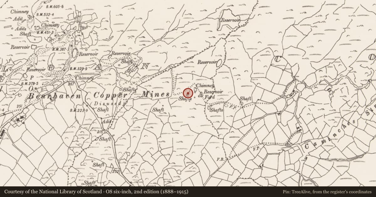 Ordnance Survey six-inch map, 2nd edition (1888–1915) covering the location of Mining structure, Caminches, County Cork, with a pin at the register's coordinates