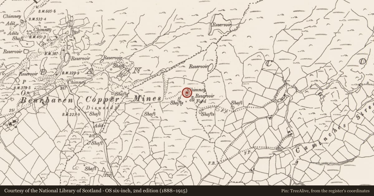 Ordnance Survey six-inch map, 2nd edition (1888–1915) covering the location of Mine engine house, Caminches, County Cork, with a pin at the register's coordinates