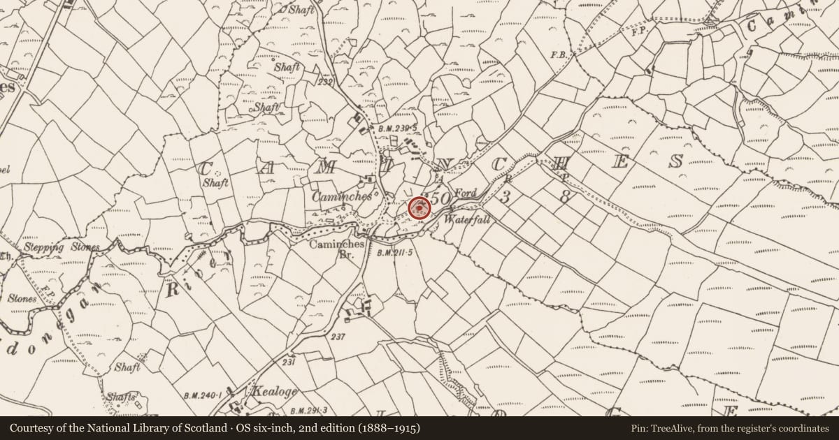 Ordnance Survey six-inch map, 2nd edition (1888–1915) covering the location of Mining complex, Caminches, County Cork, with a pin at the register's coordinates