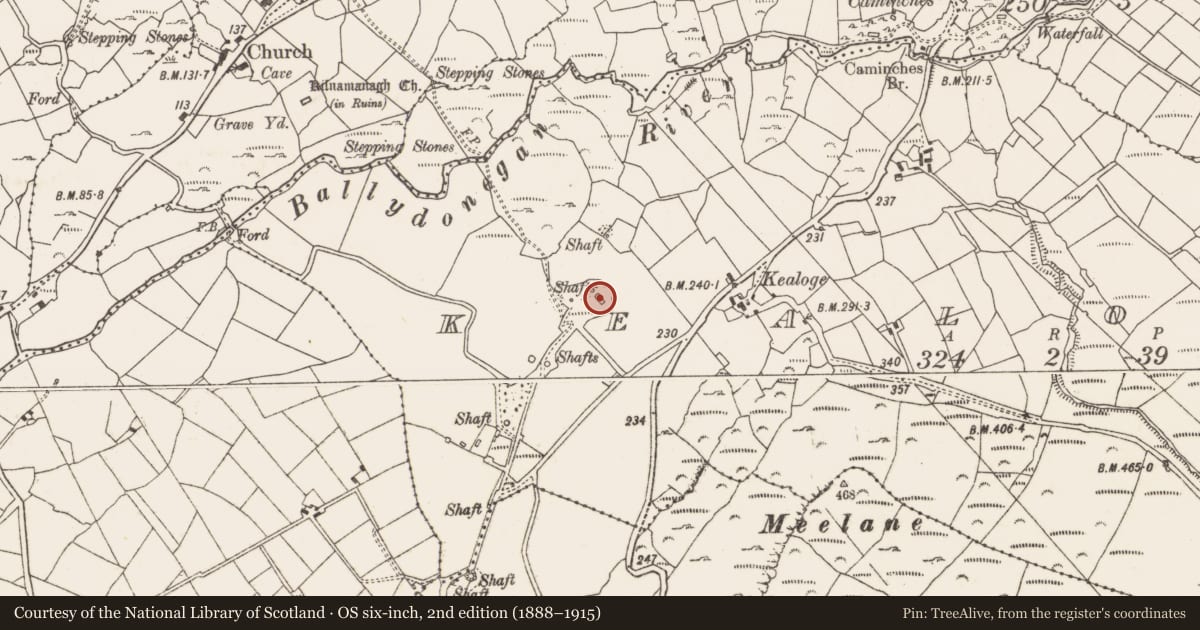 Ordnance Survey six-inch map, 2nd edition (1888–1915) covering the location of Mine engine house, Kealoge, County Cork, with a pin at the register's coordinates