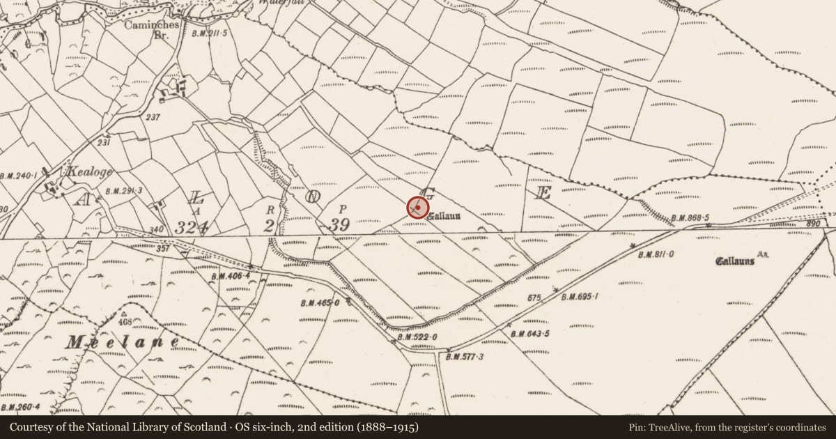 Ordnance Survey six-inch map, 2nd edition (1888–1915) covering the location of Standing stone, Kealoge, County Cork, with a pin at the register's coordinates