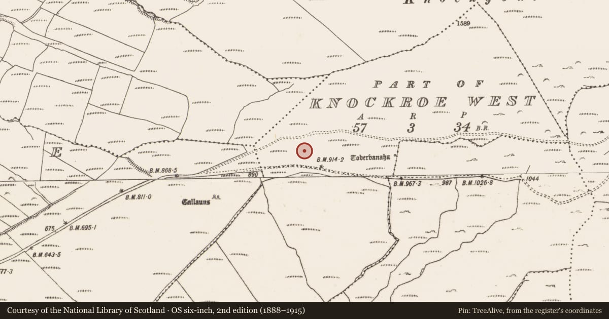 Ordnance Survey six-inch map, 2nd edition (1888–1915) covering the location of Hut site, Knockroe West, County Cork, with a pin at the register's coordinates