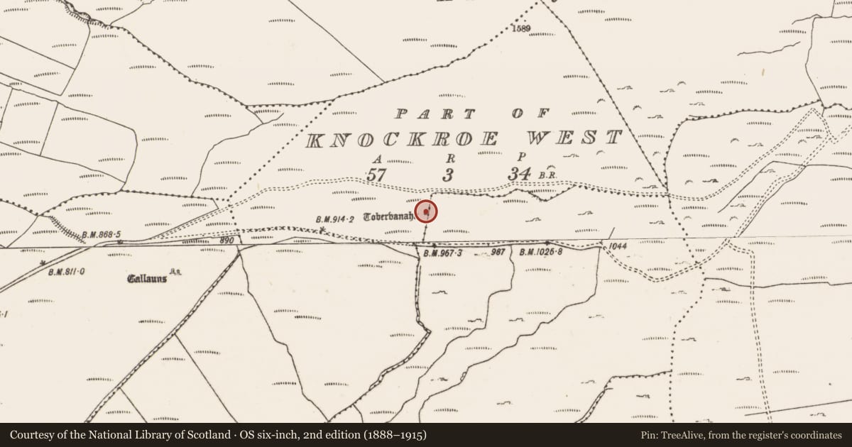 Ordnance Survey six-inch map, 2nd edition (1888–1915) covering the location of Ritual site - holy well, Knockroe West, County Cork, with a pin at the register's coordinates