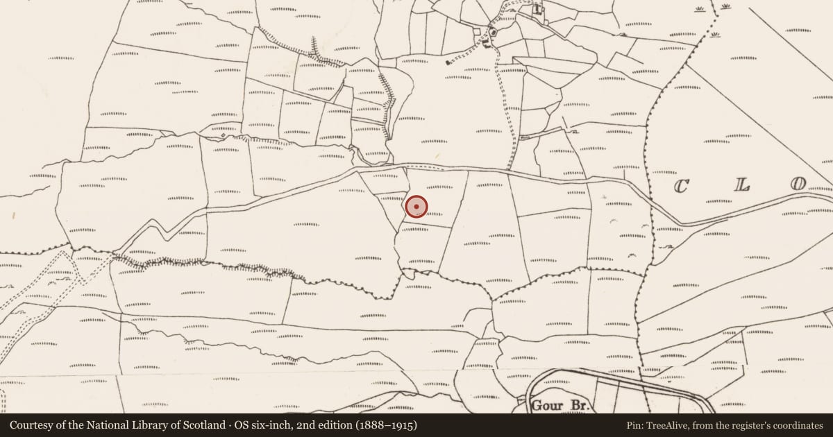 Ordnance Survey six-inch map, 2nd edition (1888–1915) covering the location of Anomalous stone group, Knockoura, County Cork, with a pin at the register's coordinates
