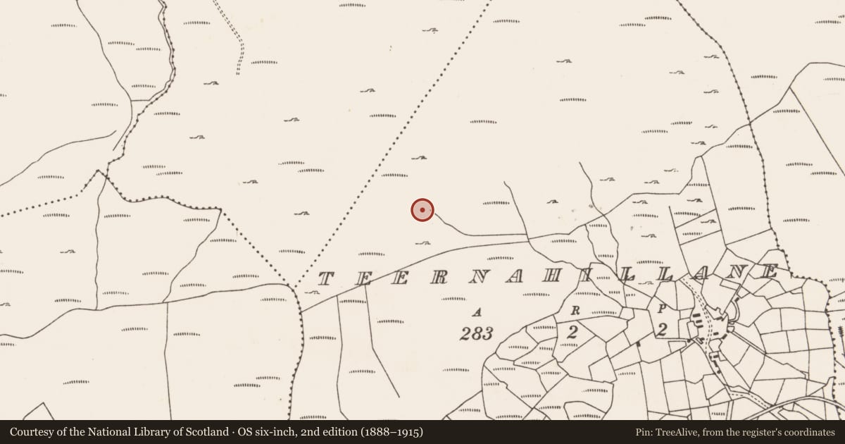 Ordnance Survey six-inch map, 2nd edition (1888–1915) covering the location of Standing stone, Teernahillane, County Cork, with a pin at the register's coordinates