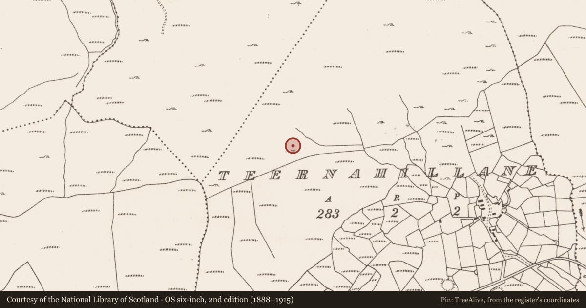 Ordnance Survey six-inch map, 2nd edition (1888–1915) covering the location of Megalithic tomb - wedge tomb, Teernahillane, County Cork, with a pin at the register's coordinates