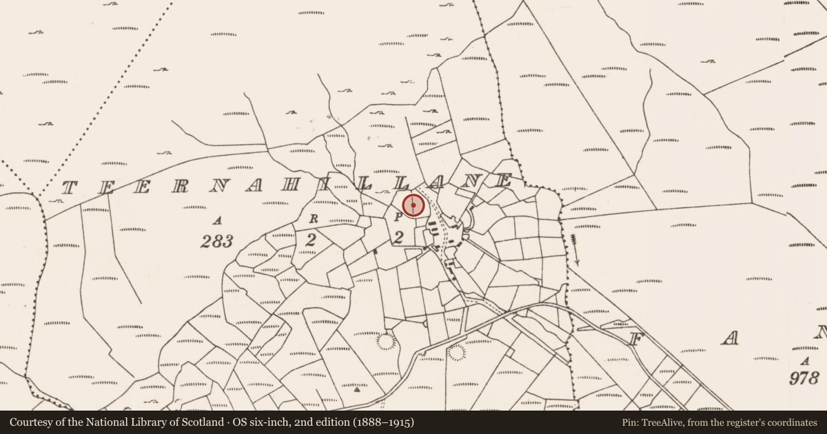 Ordnance Survey six-inch map, 2nd edition (1888–1915) covering the location of Souterrain, Teernahillane, County Cork, with a pin at the register's coordinates