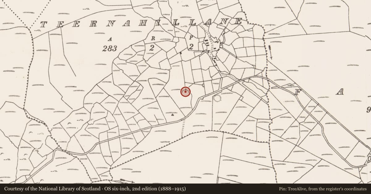 Ordnance Survey six-inch map, 2nd edition (1888–1915) covering the location of Ringfort - rath, Teernahillane, County Cork, with a pin at the register's coordinates