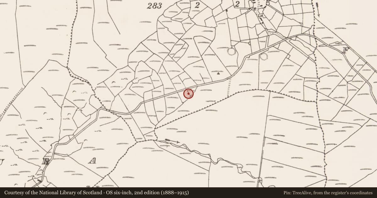 Ordnance Survey six-inch map, 2nd edition (1888–1915) covering the location of Standing stone - pair, Teernahillane, County Cork, with a pin at the register's coordinates