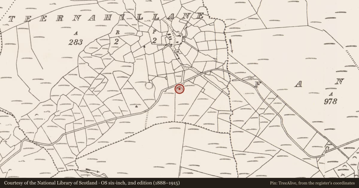 Ordnance Survey six-inch map, 2nd edition (1888–1915) covering the location of Ringfort - rath, Teernahillane, County Cork, with a pin at the register's coordinates