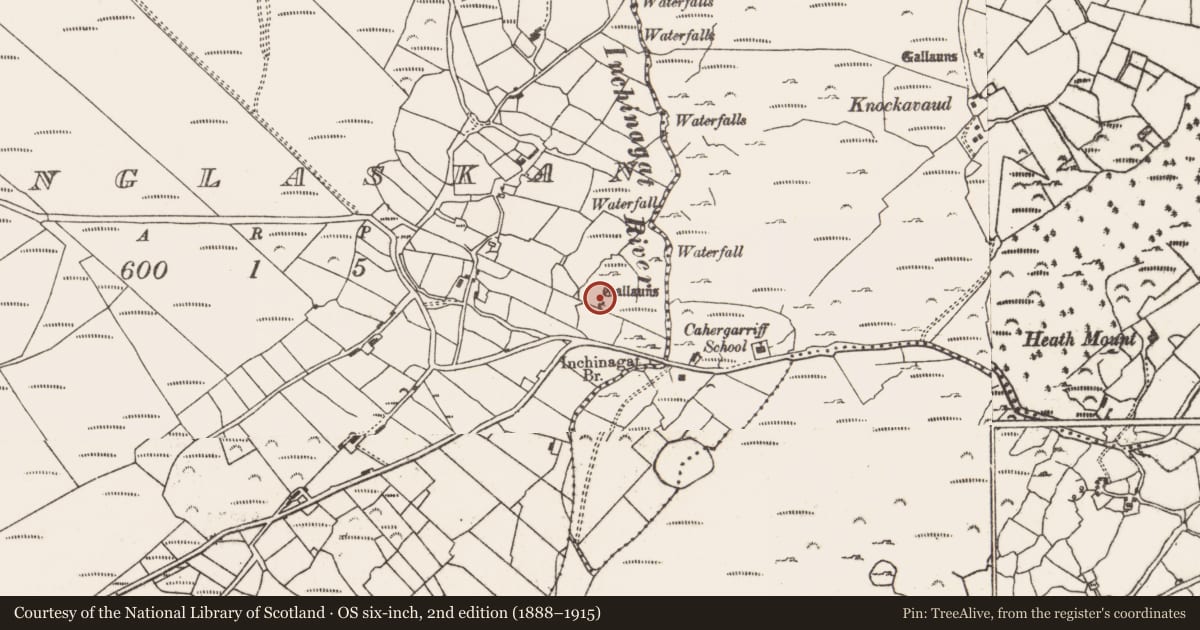 Ordnance Survey six-inch map, 2nd edition (1888–1915) covering the location of Stone row, Clonglaskan, County Cork, with a pin at the register's coordinates