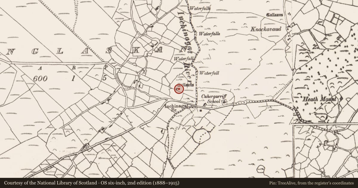 Ordnance Survey six-inch map, 2nd edition (1888–1915) covering the location of Boulder-burial, Clonglaskan, County Cork, with a pin at the register's coordinates