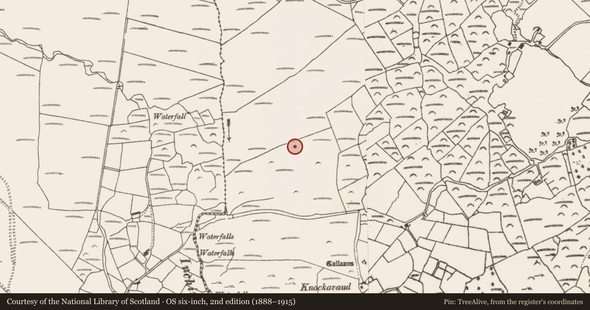 Ordnance Survey six-inch map, 2nd edition (1888–1915) covering the location of Anomalous stone group, Fanahy, County Cork, with a pin at the register's coordinates