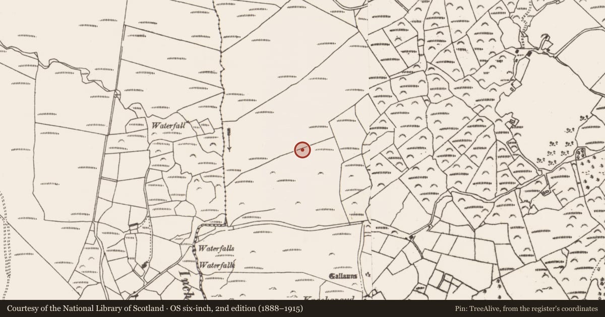 Ordnance Survey six-inch map, 2nd edition (1888–1915) covering the location of Anomalous stone group, Fanahy, County Cork, with a pin at the register's coordinates