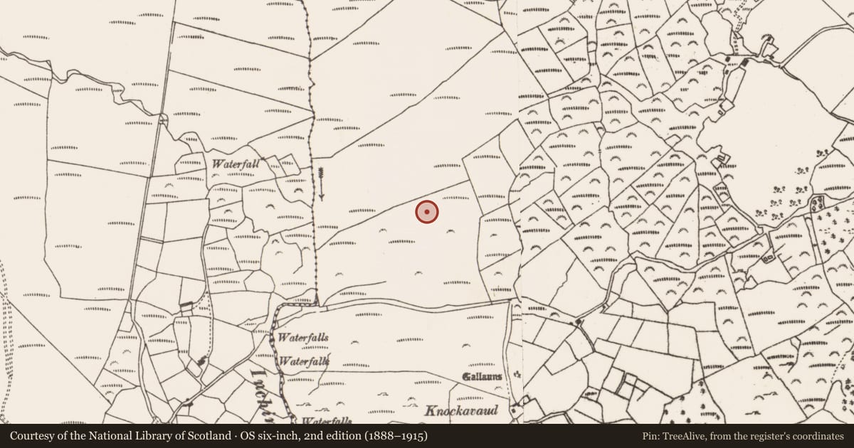 Ordnance Survey six-inch map, 2nd edition (1888–1915) covering the location of Anomalous stone group, Fanahy, County Cork, with a pin at the register's coordinates