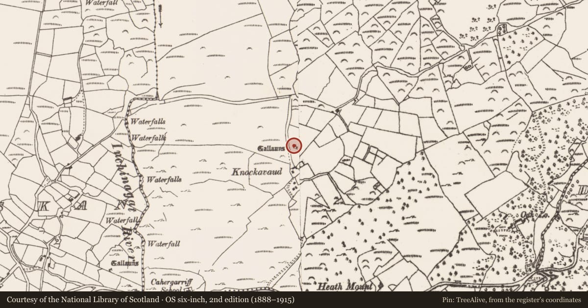 Ordnance Survey six-inch map, 2nd edition (1888–1915) covering the location of Stone row, Fanahy, County Cork, with a pin at the register's coordinates