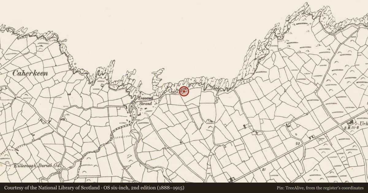 Ordnance Survey six-inch map, 2nd edition (1888–1915) covering the location of Standing stone, Urhin, County Cork, with a pin at the register's coordinates