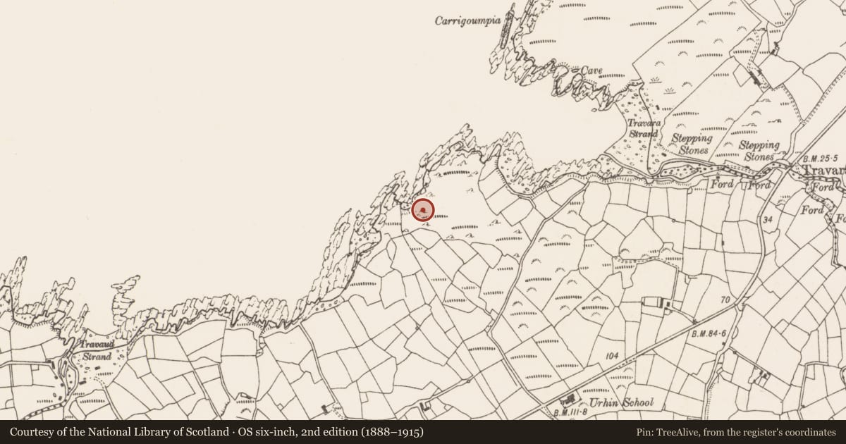 Ordnance Survey six-inch map, 2nd edition (1888–1915) covering the location of Standing stone, Urhin, County Cork, with a pin at the register's coordinates