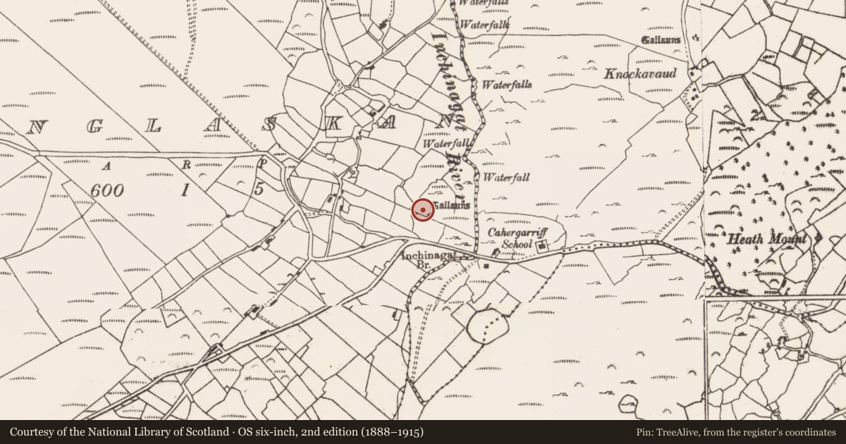 Ordnance Survey six-inch map, 2nd edition (1888–1915) covering the location of Anomalous stone group, Clonglaskan, County Cork, with a pin at the register's coordinates
