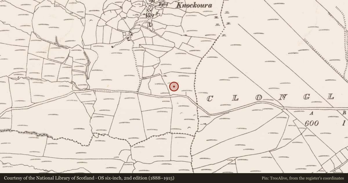 Ordnance Survey six-inch map, 2nd edition (1888–1915) covering the location of Stone row, Knockoura, County Cork, with a pin at the register's coordinates