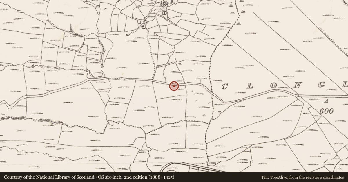 Ordnance Survey six-inch map, 2nd edition (1888–1915) covering the location of Standing stone, Knockoura, County Cork, with a pin at the register's coordinates