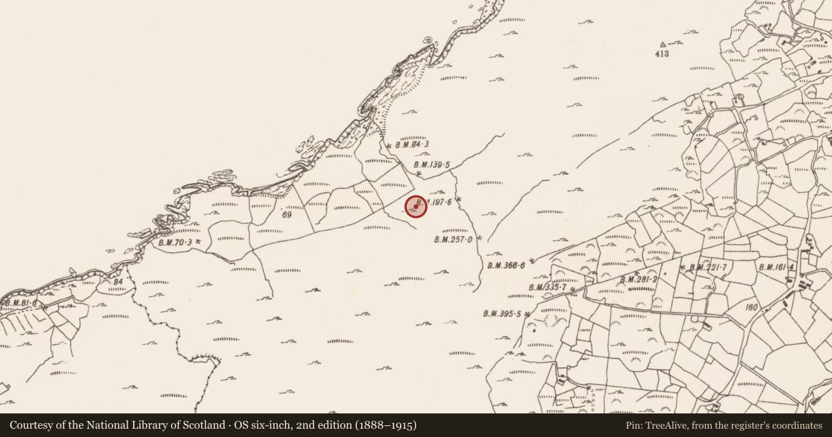 Ordnance Survey six-inch map, 2nd edition (1888–1915) covering the location of Enclosure, Caherkeen, County Cork, with a pin at the register's coordinates