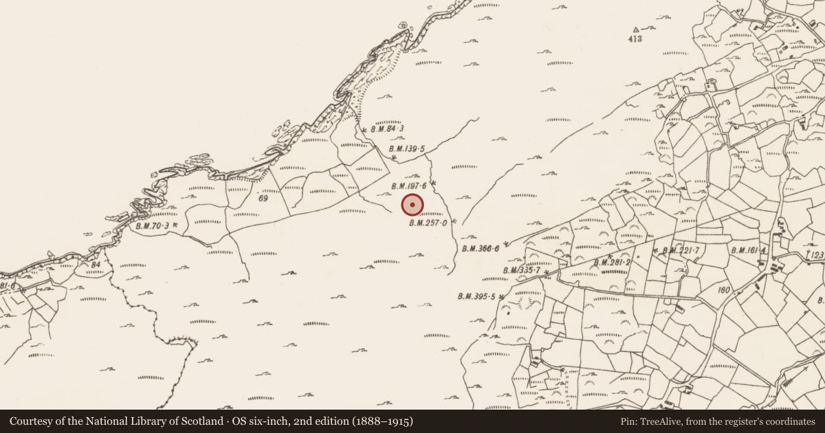 Ordnance Survey six-inch map, 2nd edition (1888–1915) covering the location of Enclosure, Caherkeen, County Cork, with a pin at the register's coordinates