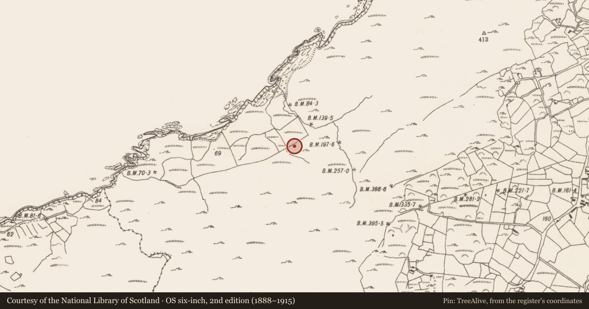 Ordnance Survey six-inch map, 2nd edition (1888–1915) covering the location of Enclosure, Caherkeen, County Cork, with a pin at the register's coordinates
