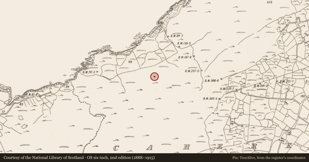 Ordnance Survey six-inch map, 2nd edition (1888–1915) covering the location of Mass-rock, Caherkeen, County Cork, with a pin at the register's coordinates