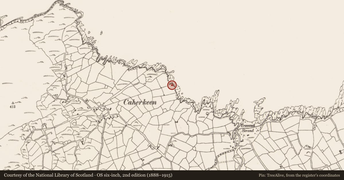 Ordnance Survey six-inch map, 2nd edition (1888–1915) covering the location of Cairn - unclassified, Caherkeen, County Cork, with a pin at the register's coordinates