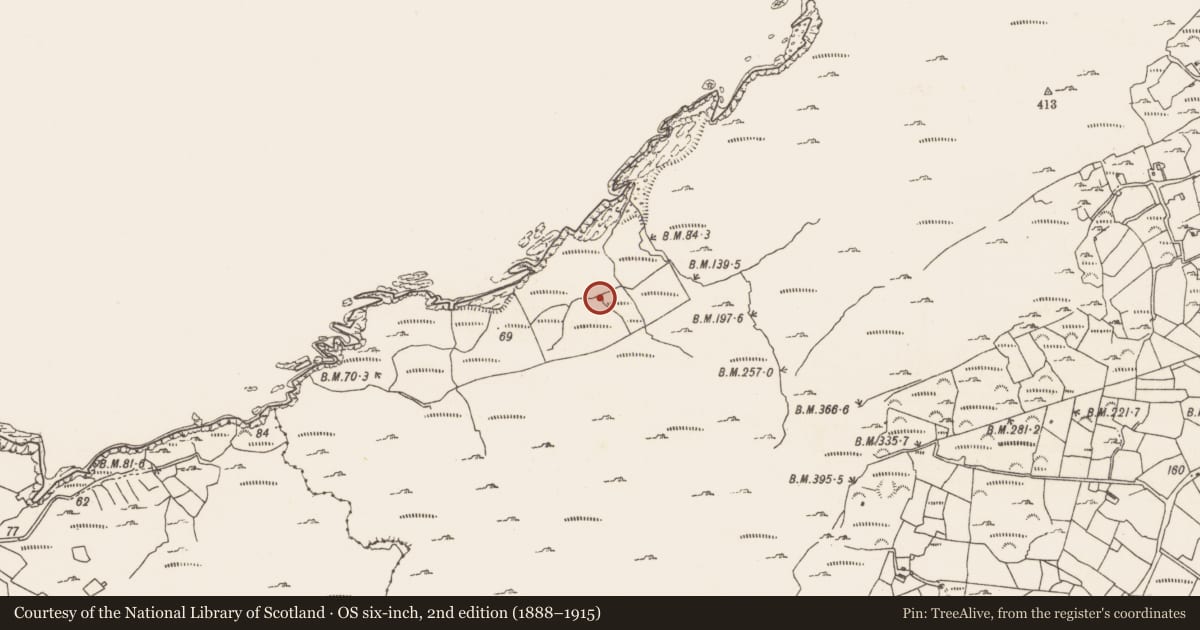 Ordnance Survey six-inch map, 2nd edition (1888–1915) covering the location of Field system, Caherkeen, County Cork, with a pin at the register's coordinates