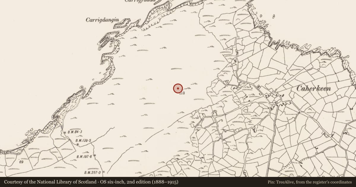 Ordnance Survey six-inch map, 2nd edition (1888–1915) covering the location of Cairn - unclassified, Caherkeen, County Cork, with a pin at the register's coordinates