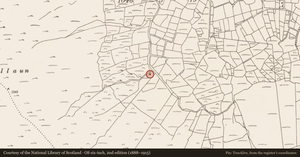 Ordnance Survey six-inch map, 2nd edition (1888–1915) covering the location of Enclosure, Caherkeen, County Cork, with a pin at the register's coordinates