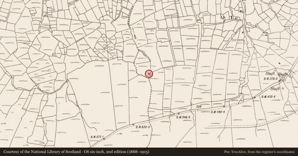 Ordnance Survey six-inch map, 2nd edition (1888–1915) covering the location of Ringfort - rath, Urhin, County Cork, with a pin at the register's coordinates