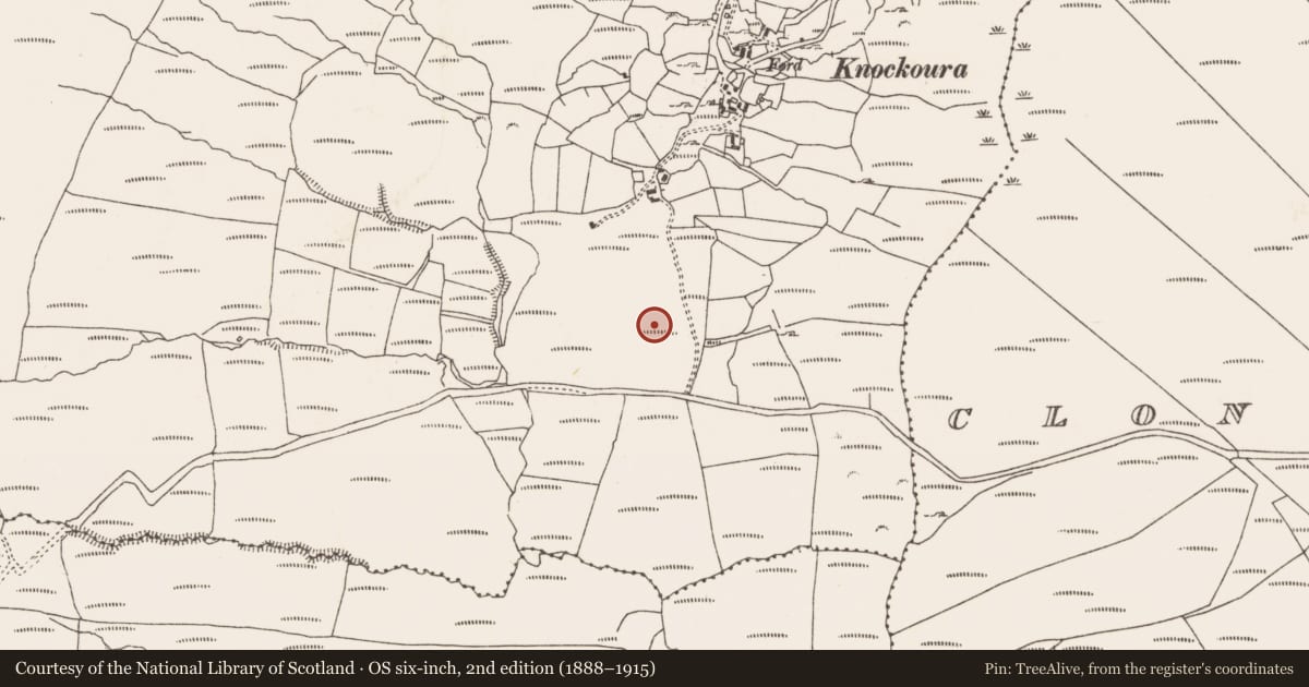 Ordnance Survey six-inch map, 2nd edition (1888–1915) covering the location of Boulder-burial, Knockoura, County Cork, with a pin at the register's coordinates