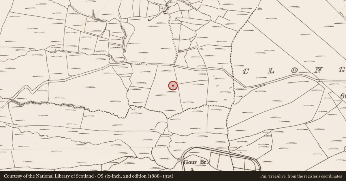 Ordnance Survey six-inch map, 2nd edition (1888–1915) covering the location of Standing stone, Knockoura, County Cork, with a pin at the register's coordinates