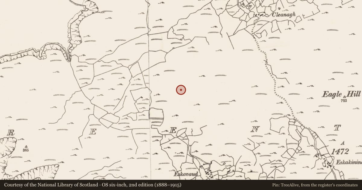 Ordnance Survey six-inch map, 2nd edition (1888–1915) covering the location of Bullaun stone, Reentrusk, County Cork, with a pin at the register's coordinates