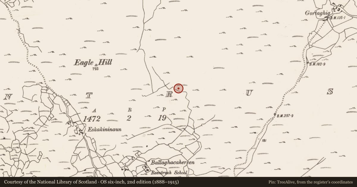 Ordnance Survey six-inch map, 2nd edition (1888–1915) covering the location of Hut site, Reentrusk, County Cork, with a pin at the register's coordinates