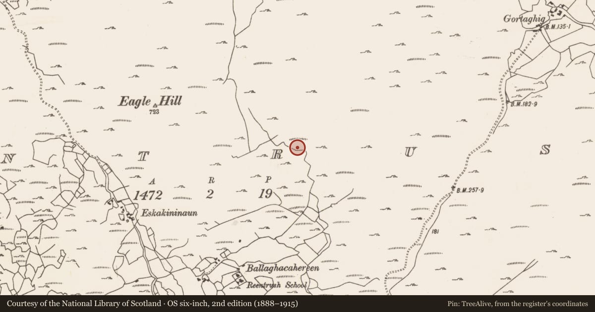 Ordnance Survey six-inch map, 2nd edition (1888–1915) covering the location of Hut site, Reentrusk, County Cork, with a pin at the register's coordinates