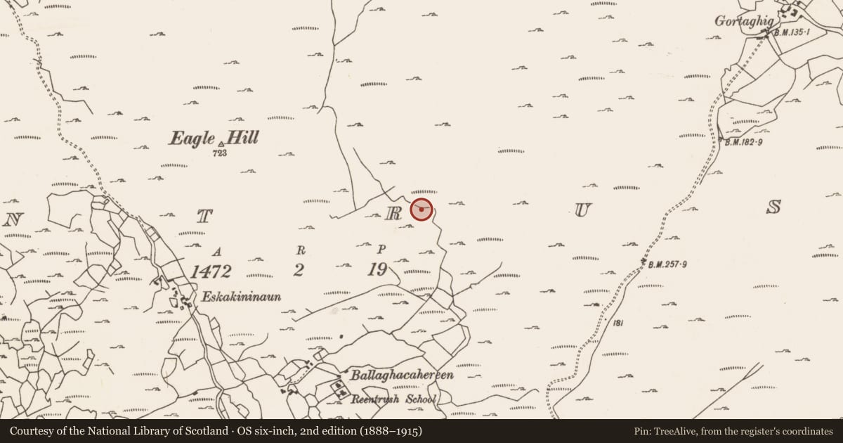 Ordnance Survey six-inch map, 2nd edition (1888–1915) covering the location of Hut site, Reentrusk, County Cork, with a pin at the register's coordinates
