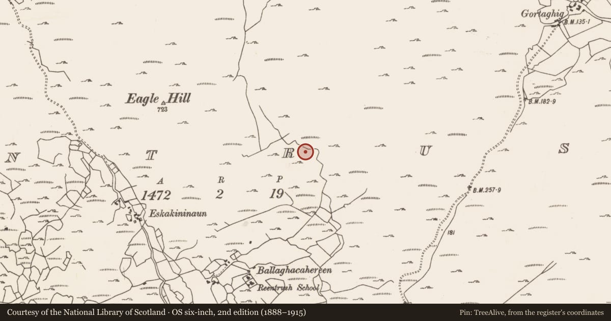 Ordnance Survey six-inch map, 2nd edition (1888–1915) covering the location of Field boundary, Reentrusk, County Cork, with a pin at the register's coordinates