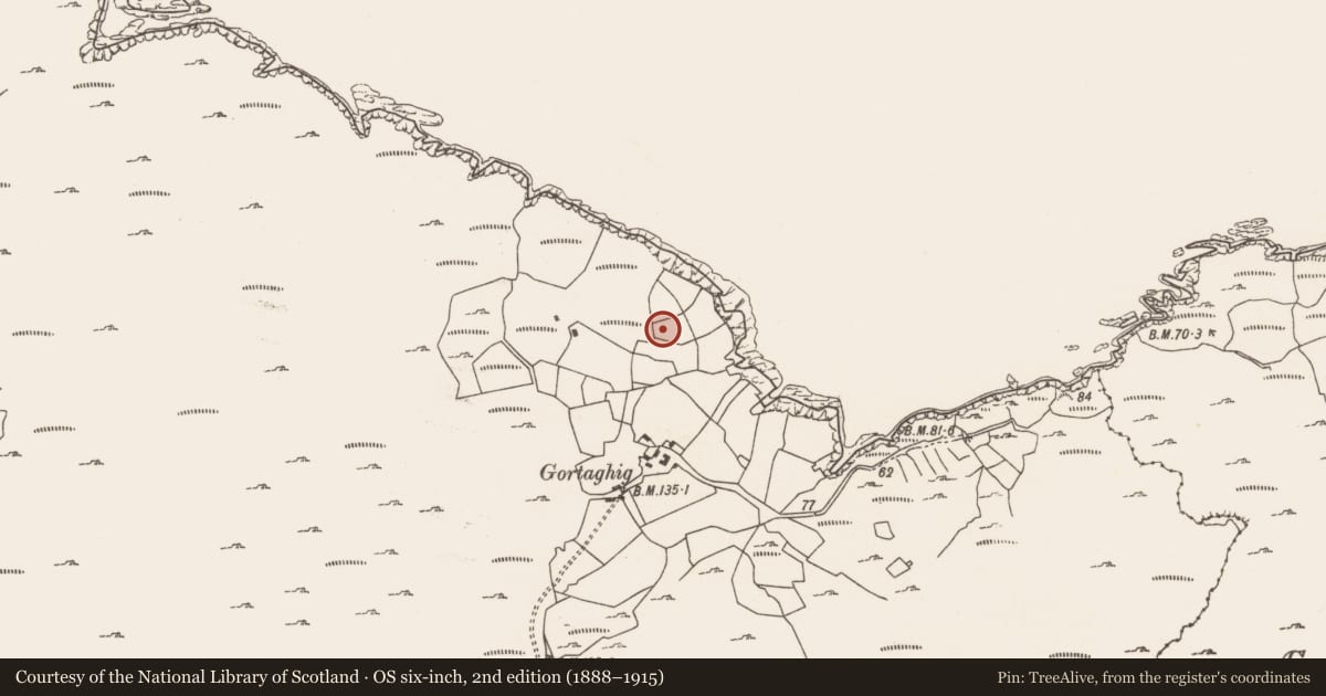 Ordnance Survey six-inch map, 2nd edition (1888–1915) covering the location of Children's burial ground, Reentrusk, County Cork, with a pin at the register's coordinates