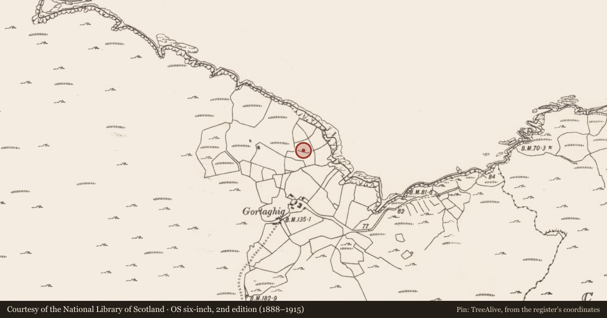 Ordnance Survey six-inch map, 2nd edition (1888–1915) covering the location of Enclosure, Reentrusk, County Cork, with a pin at the register's coordinates