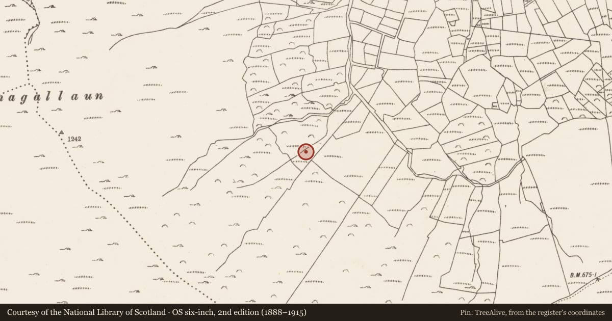 Ordnance Survey six-inch map, 2nd edition (1888–1915) covering the location of Enclosure, Caherkeen, County Cork, with a pin at the register's coordinates