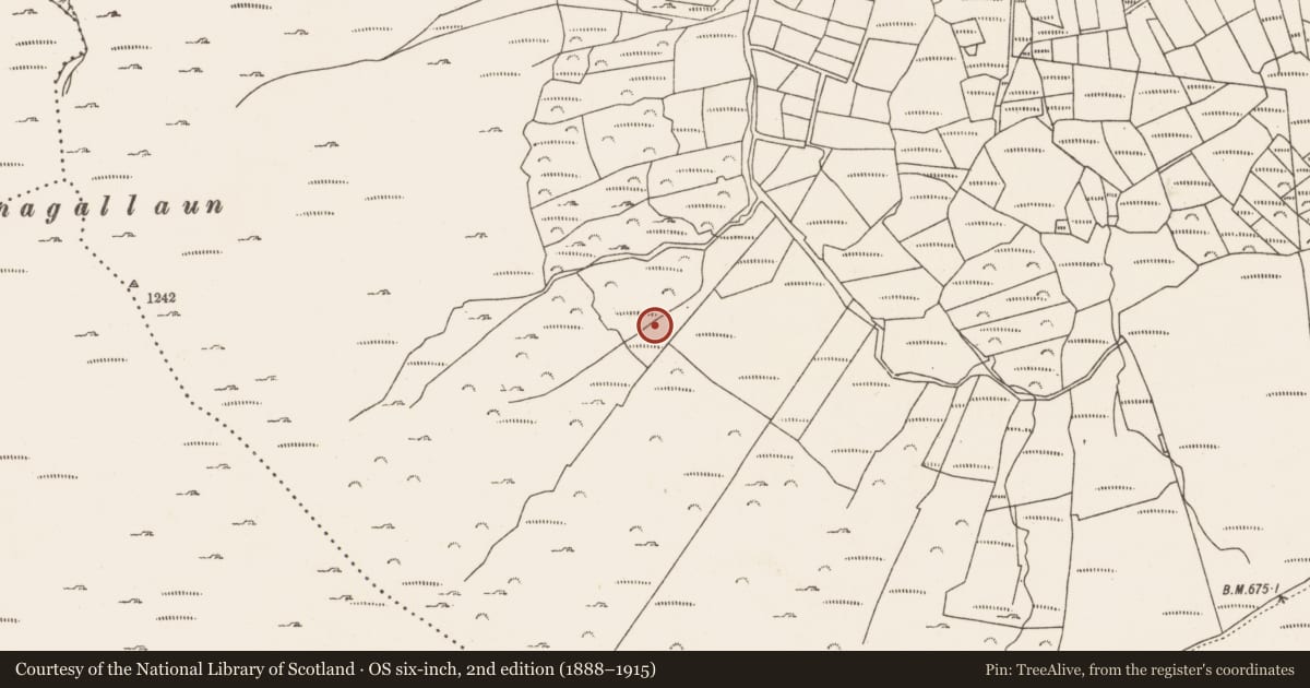Ordnance Survey six-inch map, 2nd edition (1888–1915) covering the location of Hut site, Caherkeen, County Cork, with a pin at the register's coordinates