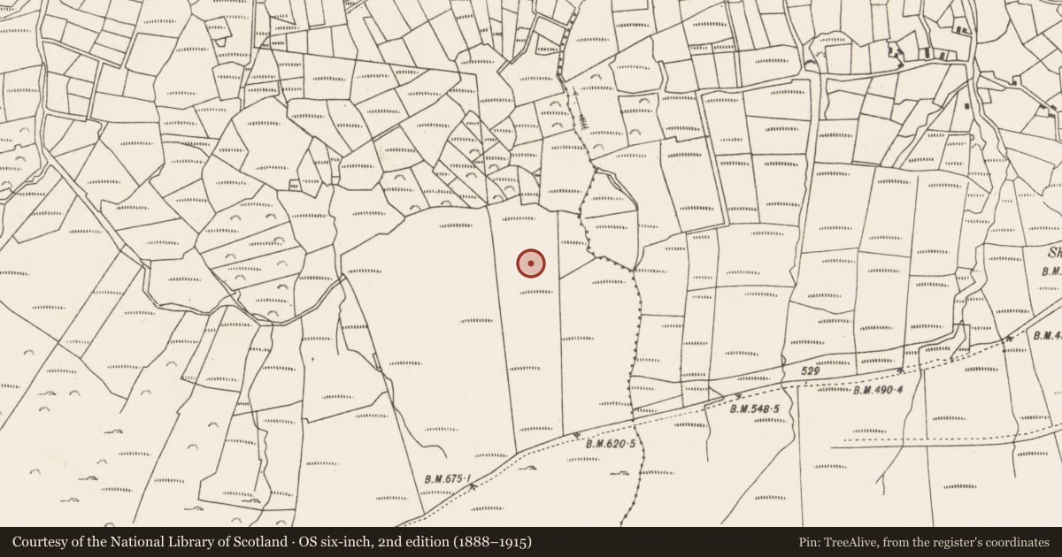 Ordnance Survey six-inch map, 2nd edition (1888–1915) covering the location of Field boundary, Caherkeen, County Cork, with a pin at the register's coordinates
