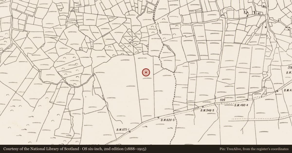 Ordnance Survey six-inch map, 2nd edition (1888–1915) covering the location of Hut site, Caherkeen, County Cork, with a pin at the register's coordinates