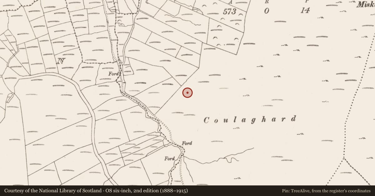 Ordnance Survey six-inch map, 2nd edition (1888–1915) covering the location of Enclosure, Commons West, County Cork, with a pin at the register's coordinates